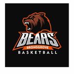 Profile Picture of Dawn Hall (@bromsgrovebears2020) on Instagram