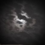 Profile Picture of Dylan McLain (@dmclain24) on Instagram