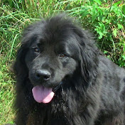 Profile Picture of Balades En Photos (@baladesenphotos4905) on Youtube