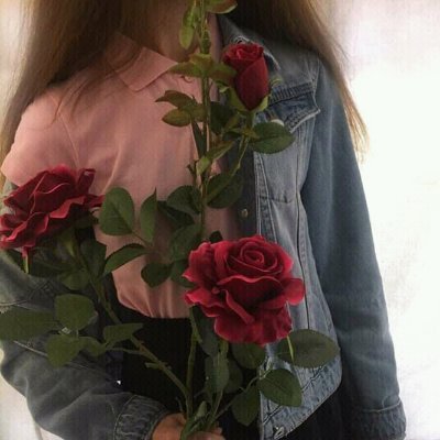 Profile Picture of Christopher Yuan (@ChristopherYua7) on Twitter