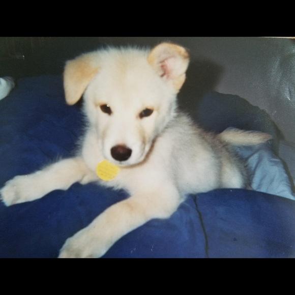 Profile Picture of Angelina Apruzzese (@gina571) on Poshmark