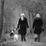 stewart.thompson - Flickr Profile Picture of stewart.thompson (@stewart.thompson) on Flickr