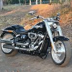 Profile Picture of Shane Rogers Stehlik (@shanerogersstehlik) on Instagram