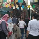 Profile Picture of Paula Pagliaro (@paula.pagliaro.1) on Facebook