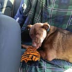 Profile Picture of Derek Cornelisen (@derek.cornelisen.2025) on Facebook