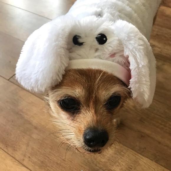 Leah Zaguroli - Poshmark Profile Picture of Leah Zaguroli (@leahnz25) on Poshmark