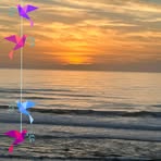 Profile Picture of Denise Bradley Cochran (@Denise-Bradley-Cochran) on Facebook