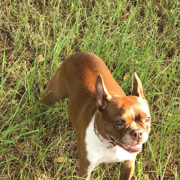 Yanni Iossifidis - Poshmark Profile Picture of Yanni Iossifidis (@spacpilot) on Poshmark