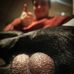 Profile Picture of Cody Hierons (@cody.hierons) on Facebook