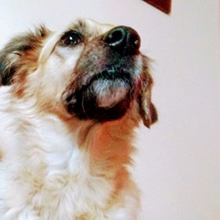 Profile Picture of Blake L. Rigotto (@blake.r.lelis) on Facebook