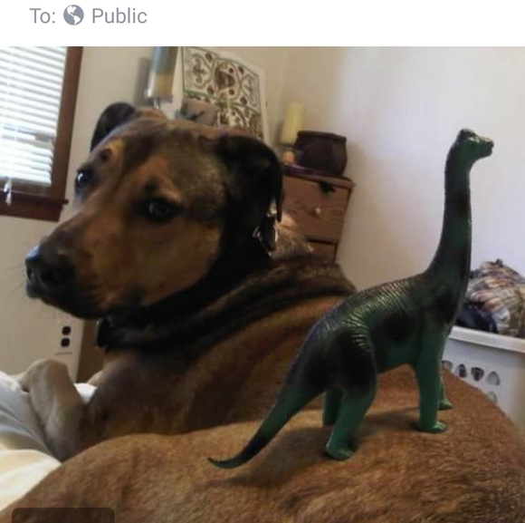 Profile Picture of Jeffrey Hardy (@ceterisparadis) on Poshmark