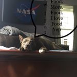 Profile Picture of Shawn Whitley (@shawn_w08) on Instagram