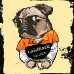 Profile Picture of Dog Breeder=LaidBack(レイドバック) (@laidback0914) on Instagram