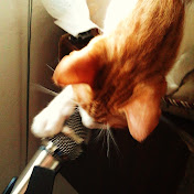 Profile Picture of Mario Montenegro (@mariomontenegro9357) on Youtube