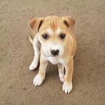 Jeremy Mackenzie - Instagram Profile Picture of Jeremy Mackenzie (@jemmy_mack) on Instagram