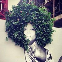 Profile Picture of Jacqueline Largent (@jacquelinelargent) on Pinterest