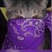 Profile Picture of James Vanhoose (@james.vanhoose.3551) on Facebook