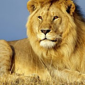 Profile Picture of Jimmy Mauricio Prieto Rodríguez (@jimmymauricioprietorodrigu8536) on Youtube