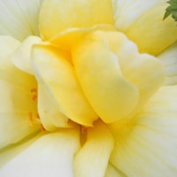 Profile Picture of Patricia Stringer (@patricia-stringer-9) on Quora