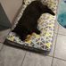 Profile Picture of Denise Daley (@denise.daley.94009) on Facebook