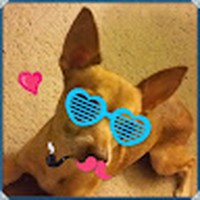 Profile Picture of Joe Ambriz (@joe-ambriz-12) on Quora