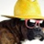 Profile Picture of Dave.potter.501 (@dave.potter.501) on Flickr