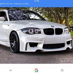 Profile Picture of Steve Dolphin (@stevedolphin1) on Tiktok