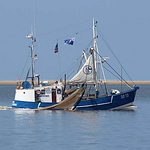 Profile Picture of Peter Heitmann (@peterheitmann1) on Flickr