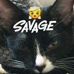 Profile Picture of barry (@barry_gary_rowden) on Instagram