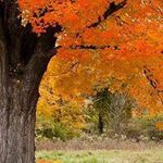 Profile Picture of Amy Guillot (@guillotamy) on Instagram