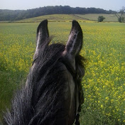 Profile Picture of Maxine Davies (@maxinedavies9021) on Youtube