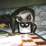 Profile Picture of James Miller (@huyettayaran) on Instagram