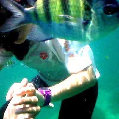 Profile Picture of Caroline Kern Rei (@kernrei) on Twitter