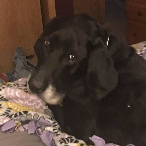 Profile Picture of Missy Leonardson (@mal0225) on Poshmark