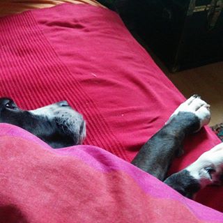 Profile Picture of Julia Schiansky Weisz (@julia.schianskyweisz) on Facebook