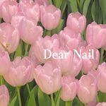 Profile Picture of 디어네일/ 당리네일 / 하단네일 / 동아대네일🌷💗 (@dear__nail_) on Instagram