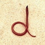 Profile Picture of doug kennedy (@dk3nn3dy) on Instagram