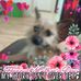 Profile Picture of Jackie Totherow (@jackie.totherow.9) on Facebook