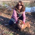 Profile Picture of Sharon Schmidt (@sharoncutey) on Instagram