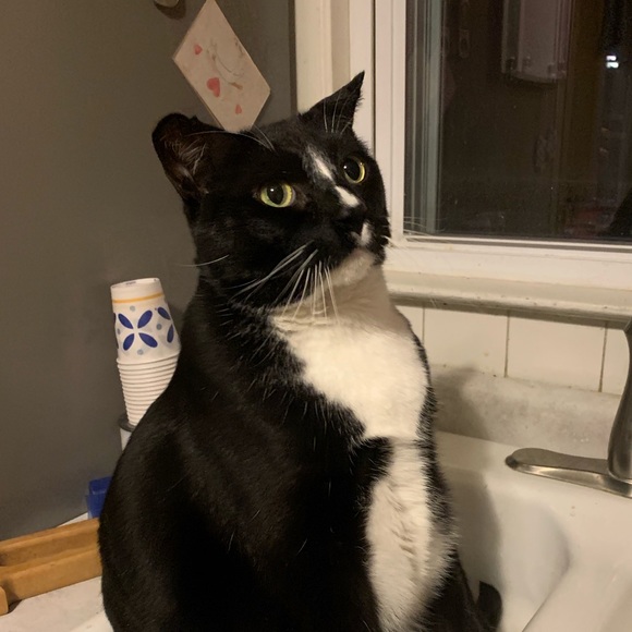 Profile Picture of Danielle Collier (@danielle_l_c) on Poshmark