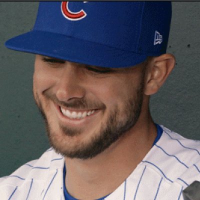 Profile Picture of NOT Kris Bryant. (@PerennialStar) on Twitter