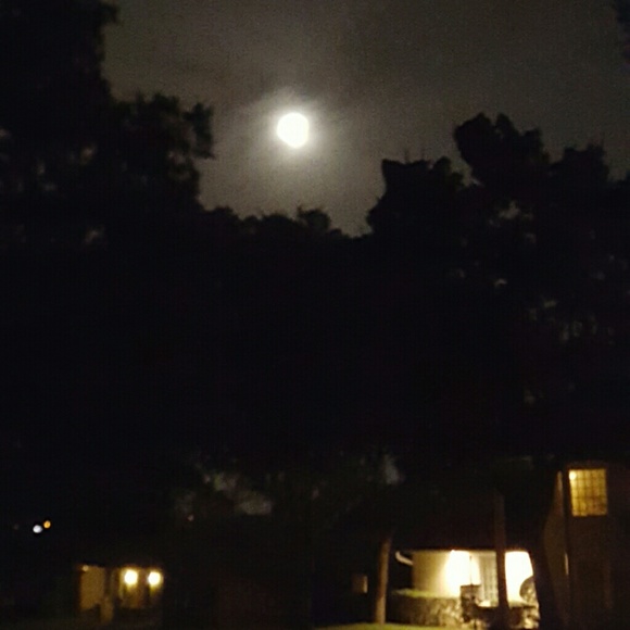 Profile Picture of Felipe Galaviz (@felipe111) on Poshmark