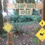 Profile Picture of Barry Caskin (@barrycaskin) on Instagram