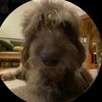 Paula Vaughan - Instagram Profile Picture of Paula Vaughan (@paulavaughan) on Instagram