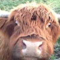 Profile Picture of Tony Beardsley (@tony-beardsley) on Quora