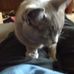 Profile Picture of Christina Hultquist (@christina.hultquist.77) on Facebook