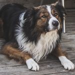 Profile Picture of Damian Knox (@damianknox3080) on Instagram