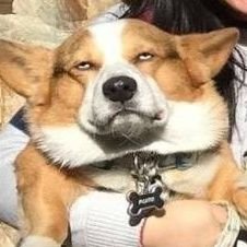 Profile Picture of Same As B4 (@MikeMorden6) on Twitter