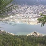 Profile Picture of Lilas Martin (@lolas_the_strange) on Instagram