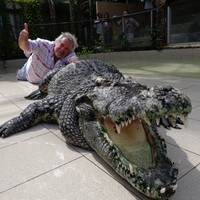 Profile Picture of Bruce Gould (@bruce-gould-2) on Quora